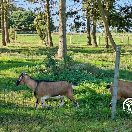 La Grande Perrine Athee (Mayenne)